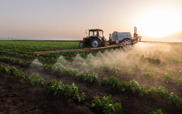 Best Insect Control  in Lasalle, IL