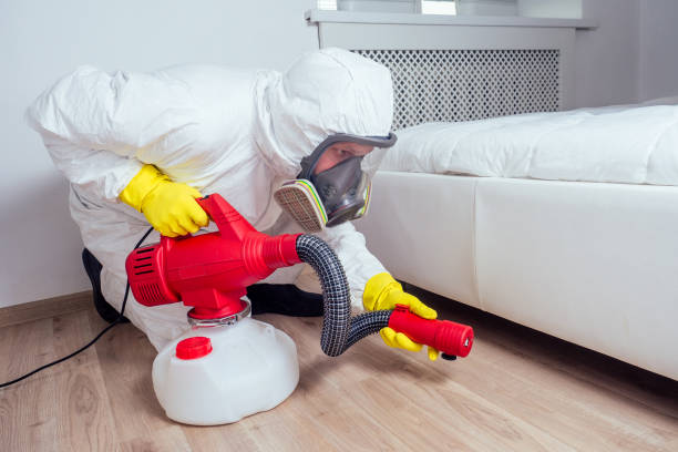 Best Emergency Pest Control  in Lasalle, IL
