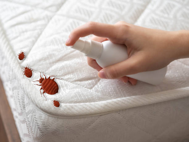 Best Pest Control Near Me in Lasalle, IL